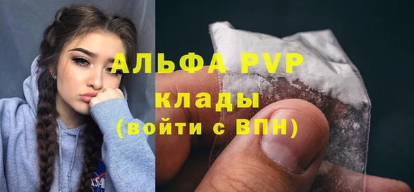 хмурый Белокуриха