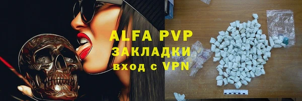 хмурый Белокуриха