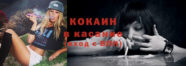 прущие грибы Арсеньев