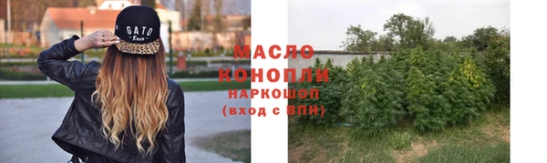 хмурый Белокуриха