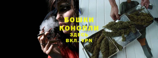 прущие грибы Арсеньев