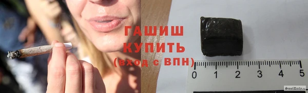 сатива Беломорск