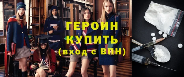 сатива Беломорск