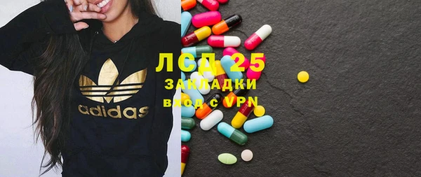 сатива Беломорск