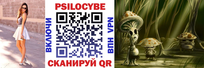 shop клад  Белокуриха  Псилоцибиновые грибы мицелий 