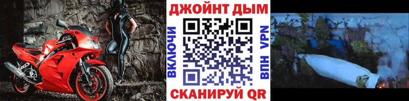 Бошки Шишки планчик Белокуриха