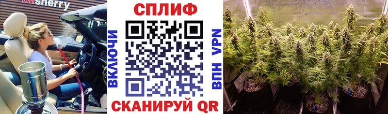 Канабис VHQ Белокуриха